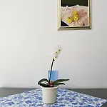 1 Bedroom Amazing In Apartman